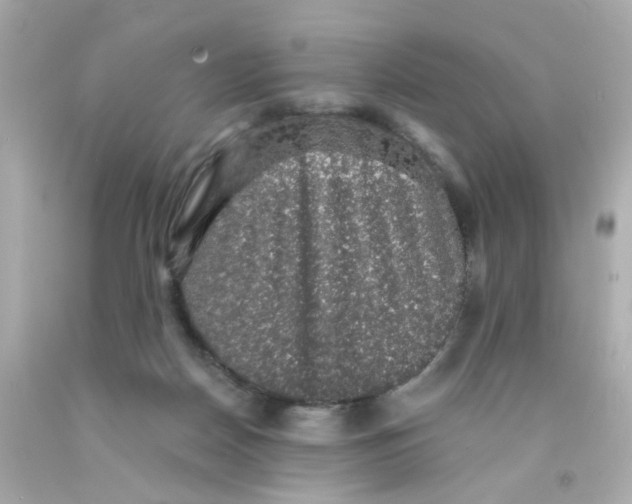 X0000093130170200710241329