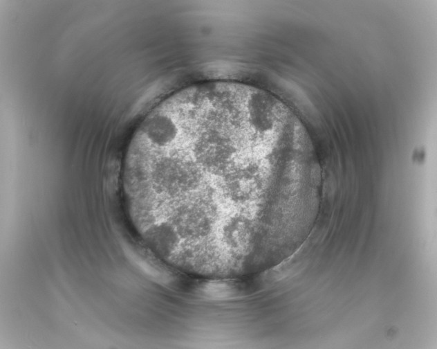 X0000093130171200710241329