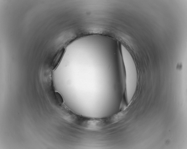X0000093130172200710241329
