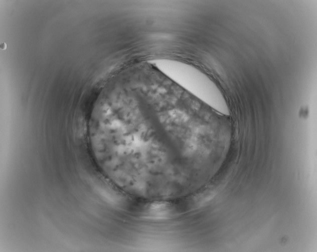 X0000093130173200710241329
