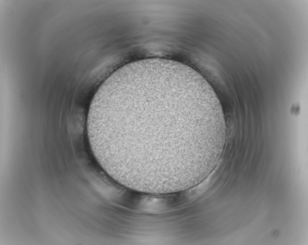 X0000093130174200710241330