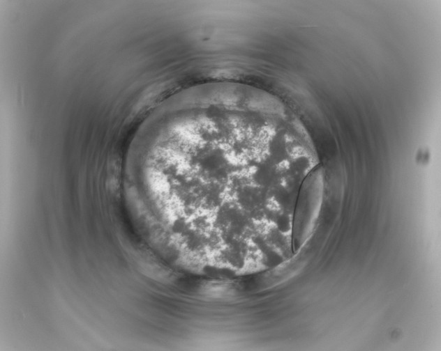 X0000093130175200710241330