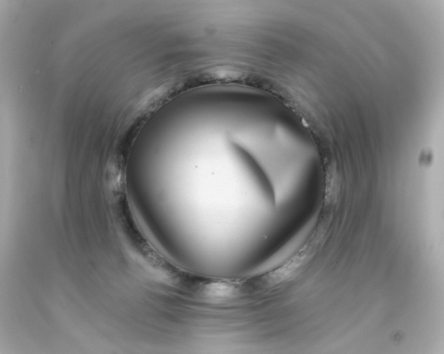 X0000093130176200710241330