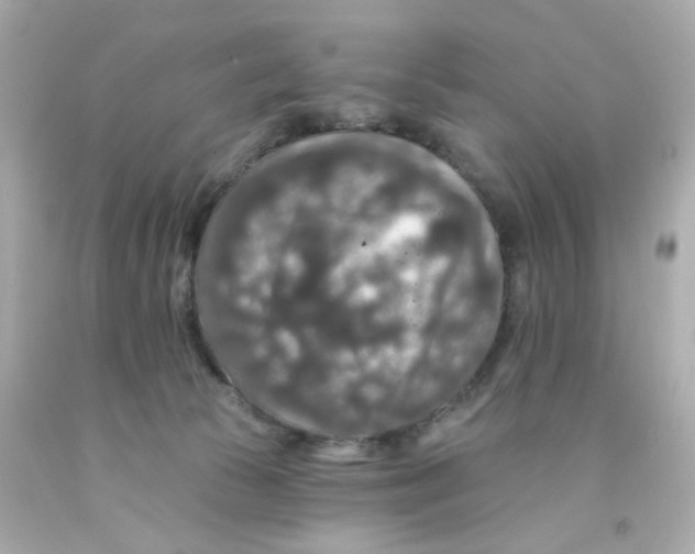 X0000093130177200710241330