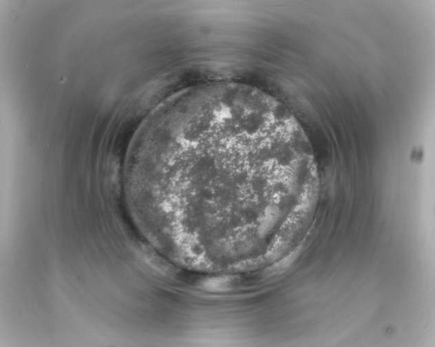 X0000093130178200710241330
