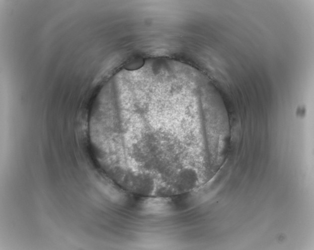 X0000093130179200710241330