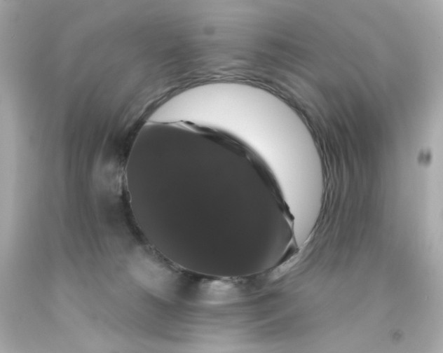 X0000093130180200710241330
