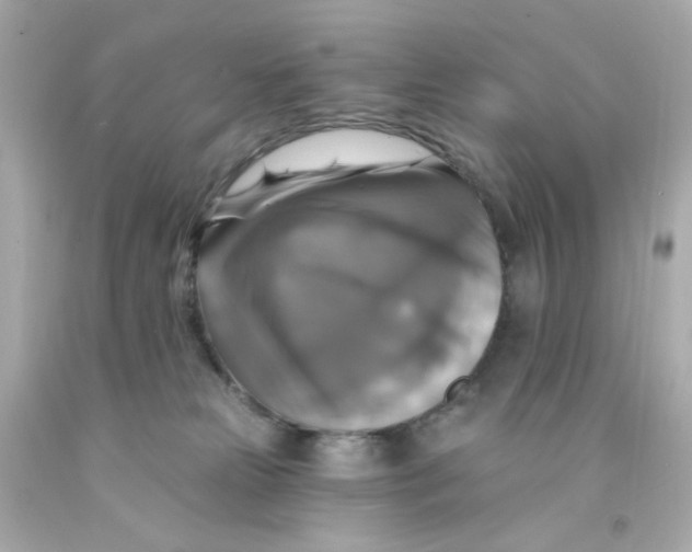X0000093130181200710241330