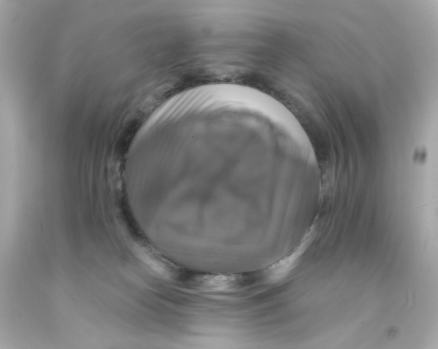 X0000093130182200710241330