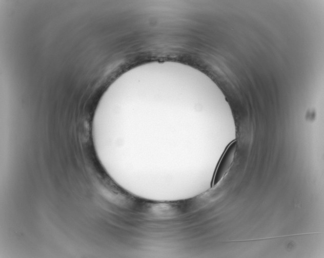 X0000093130183200710241330