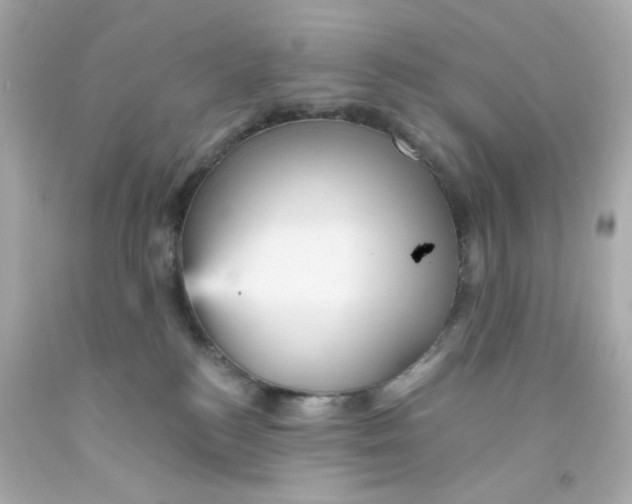 X0000093130184200710241330