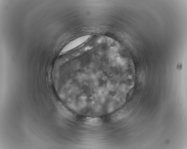 X0000093130185200710241330