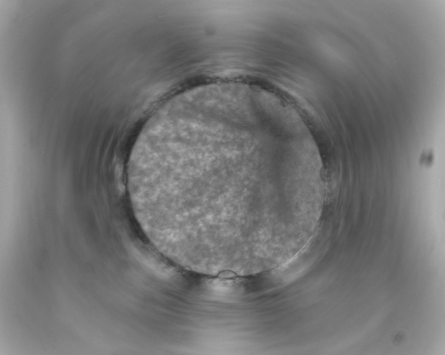 X0000093130187200710241330