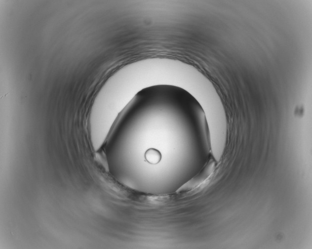 X0000093130188200710241330