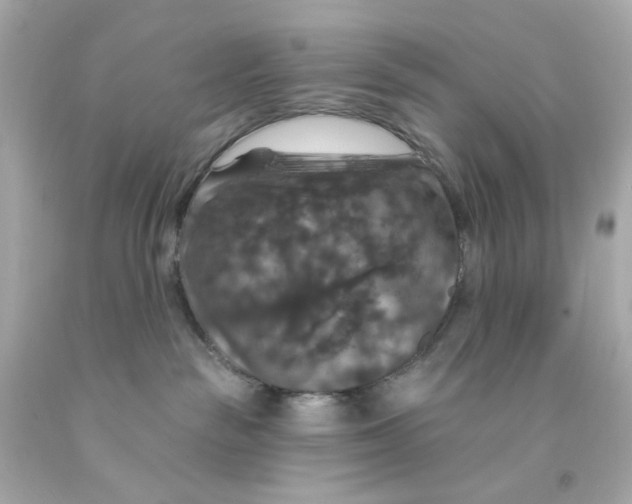 X0000093130189200710241330