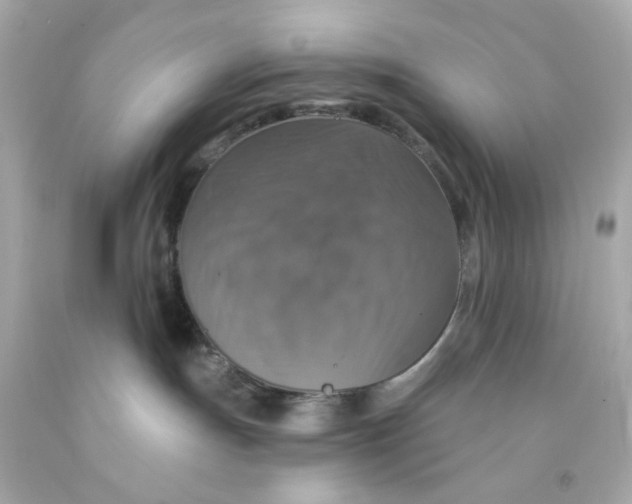 X0000093130191200710241330