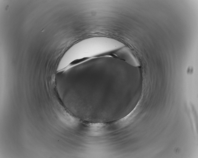 X0000093130192200710241330