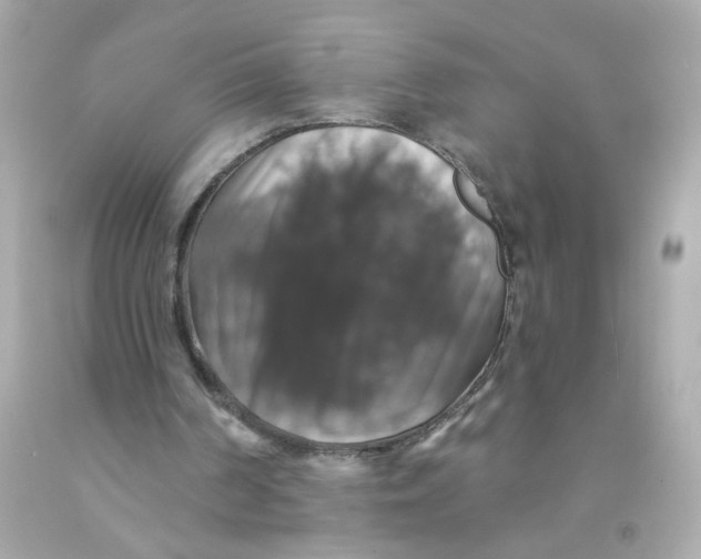 X0000093130194200710241329