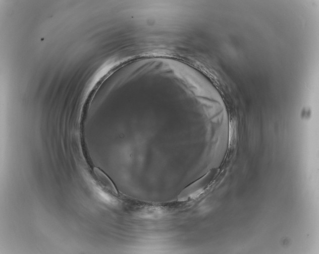 X0000093130195200710241329