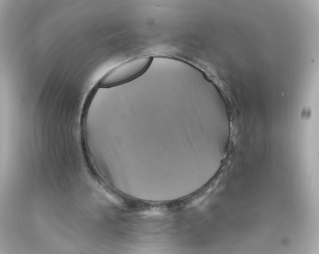 X0000093130196200710241329