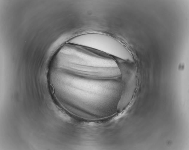 X0000093130197200710241329