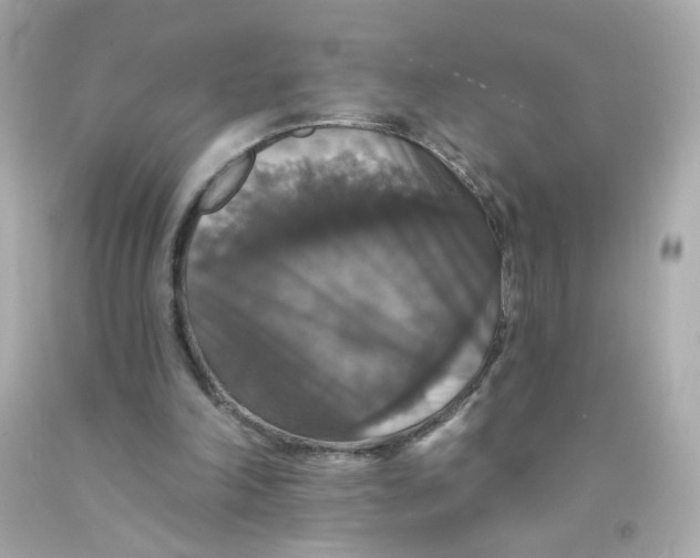 X0000093130198200710241329