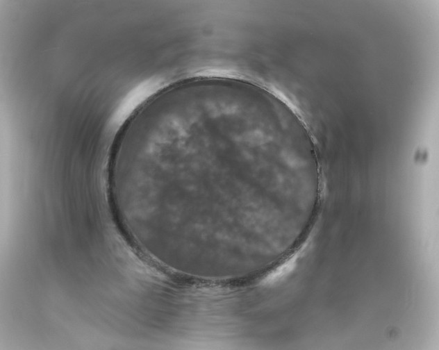 X0000093130199200710241329