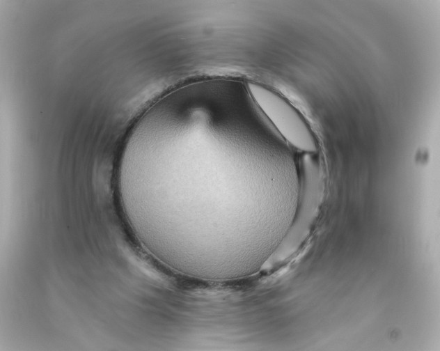 X0000093130201200710241329