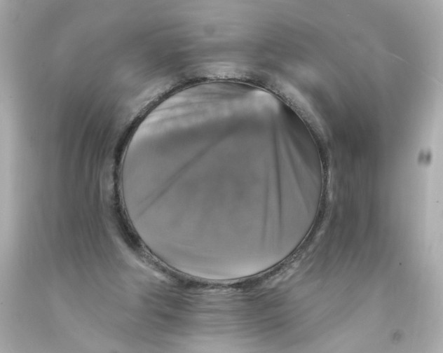 X0000093130202200710241329