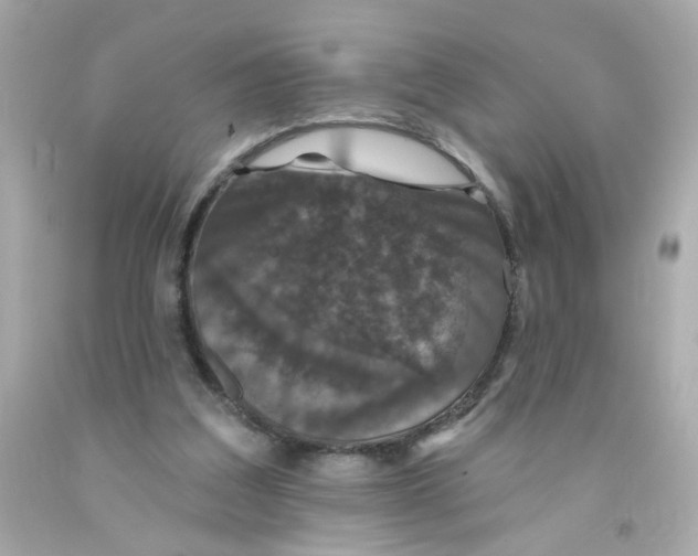 X0000093130203200710241329