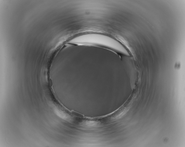 X0000093130205200710241329