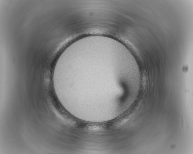 X0000093130208200710241329