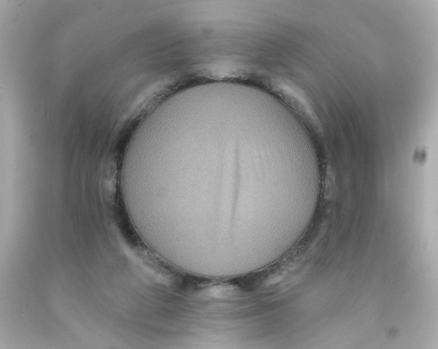 X0000093130210200710241329