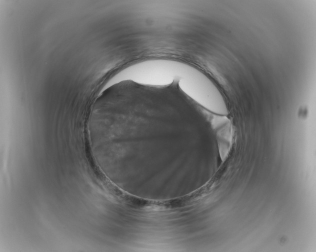 X0000093130211200710241329