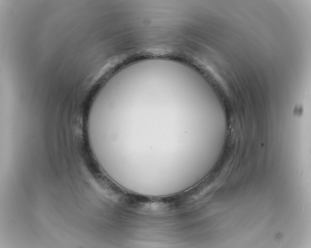 X0000093130212200710241329