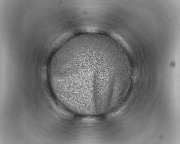 X0000093130213200710241329