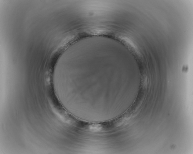 X0000093130214200710241329