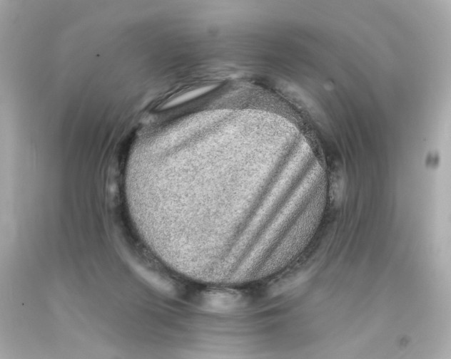X0000093130215200710241329