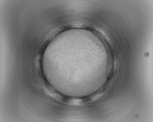 X0000093130217200710241329
