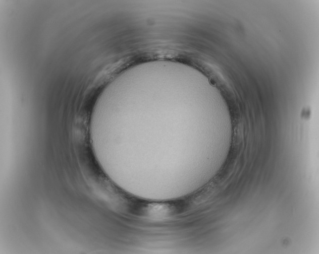 X0000093130218200710241329