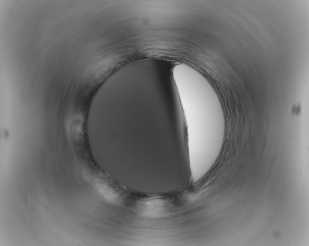 X0000093130219200710241329