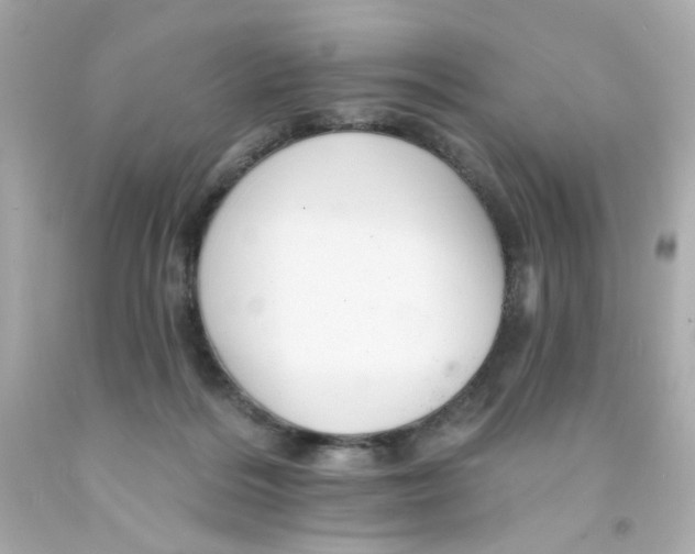 X0000093130220200710241329