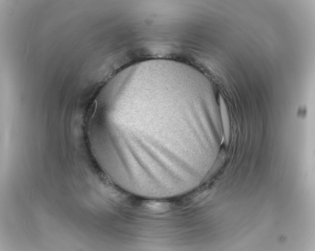 X0000093130221200710241329