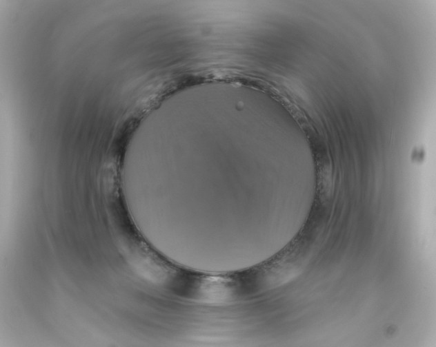 X0000093130222200710241329