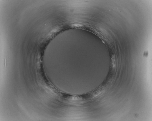 X0000093130223200710241329