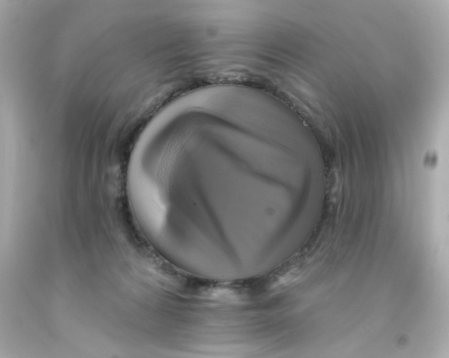 X0000093130224200710241329