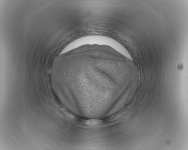 X0000093130225200710241329