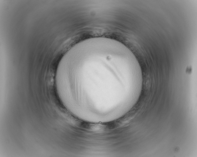 X0000093130226200710241329