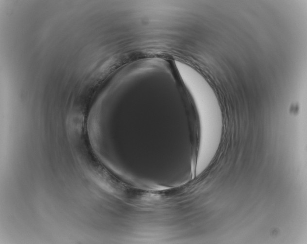 X0000093130227200710241329
