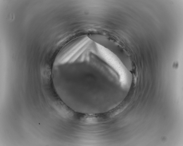 X0000093130228200710241329